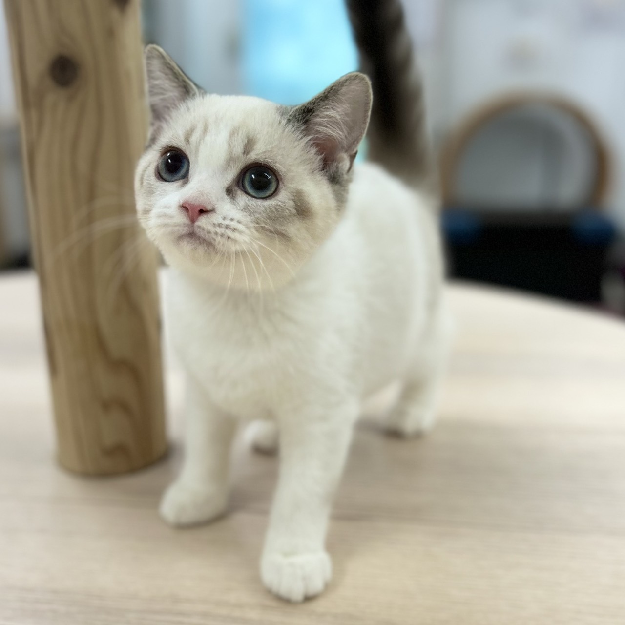 ご家族様決まりました🎉