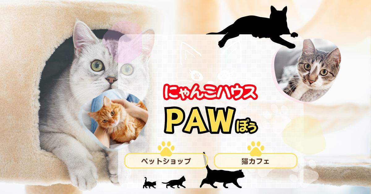にゃんこハウス PAW｜大和市深見のペットショップ・猫カフェ