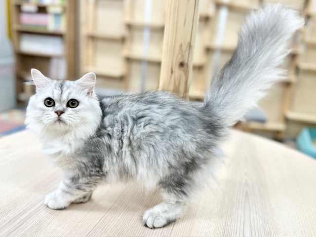 ご家族様決まりました🎉